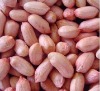 RED PEANUT KERNELS 2010