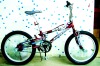 Freestyle Bike