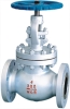 Globe Valve