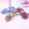 3596Fashion hair clips