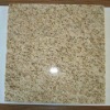 Yellow Granite