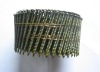 2.5*65screw coil nails  15container/month