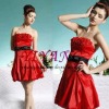 short style  Evening Dress T052