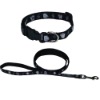 pet collar