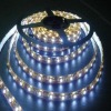 SMD5050 White flexible led strip light