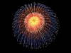 Fireworks Effect FE032