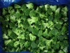 Frozen vegetables, organic broccoli