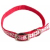 Designer Dog Collar, Dog Collars