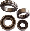 Cylindrical Roller Bearing  ( N ,NU,NJ,NUP,NNU,NN,NF,NCF,NJG,NNF)