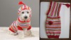 Dog Clothes(Dog Sweaters,Dog Clothing)