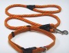 Dog Collar Leash