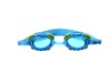 Swimming Goggles