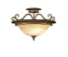 ceiling light