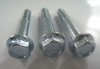 Hexagon flange bolts