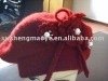 knitted hat ,winter hat ,warm hat ,rabbit hair hat