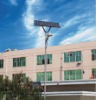 LED Solar Street  Lamp