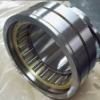 Double_Row_Cylindrical_Roller _Bearing