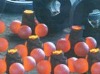 low chromium cast grinding balls