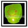 Sky lanterns(green)