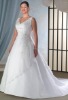 Plus Size Wedding Dress ES030