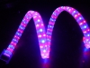 Led Rope Light,Christmas Light