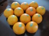 fresh Chinese navel orange