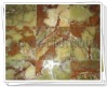 pakistan green onyx tiles