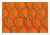 Hexagonal wire mesh