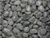 grey polished pebble