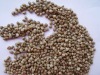 Well choose HEMP SEEDS for bird,2012 new crop