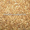 High Quality Roasted Buckwheat Kernel