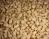 white cowpea