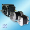 Brushless Motor