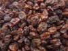 red raisins brown raisins red grape sultana raisins seedless raisins dried fruit snack fruit