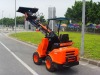 DY620 mini loader