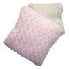 Coral Fleece Cushion