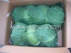 3pcs pakcing Round Cabbage