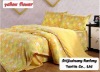 Printed Coral fleece bedding sets (duvet cover,blanket,pillow covers)