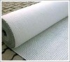 Fiberglass cloth