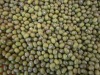 Green Mung Beans