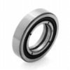 Single row Cylindrical roller bearings-N210