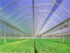 FRP greenhouse pole