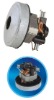 Vacuum cleaner motor/motor for vacuum cleaner