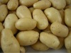 2012 Holland potatoes