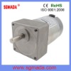 DC Gear Motor