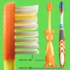 anti-slip handle household toothbrush