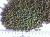 GREEN MUNG BEAN