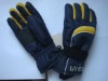 Gloves for Skiing