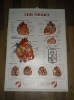 3D Medical Chart