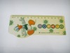 Promotion Plastic Ruler